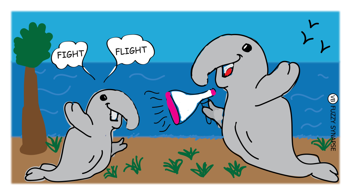 Elephant seal illustration